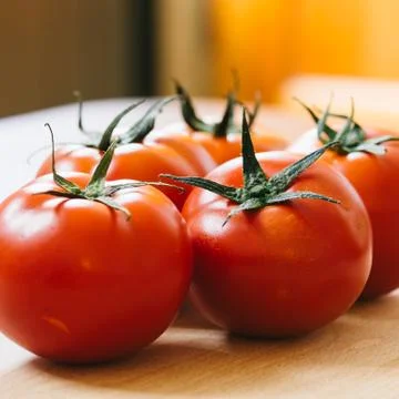 Tomatoes Stock Photos