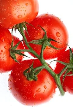 Tomatoes Stock Photos