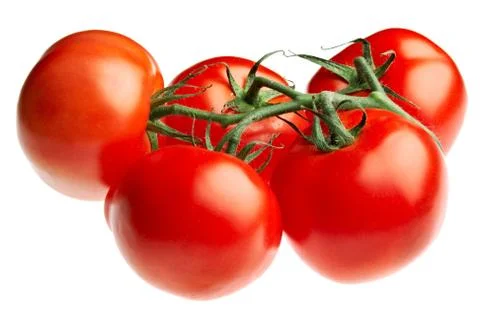 Tomatoes Stock Photos