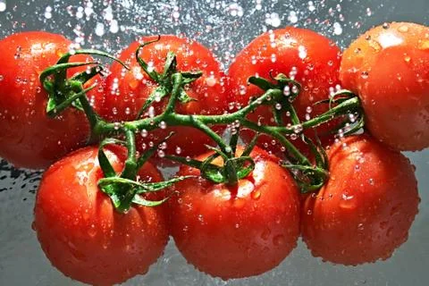 Tomatoes Stock-Fotos