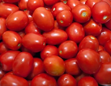 Tomatoes Stock Photos