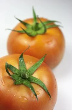 Tomatoes Stock Photos