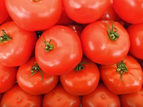 Tomatoes Stock Photos
