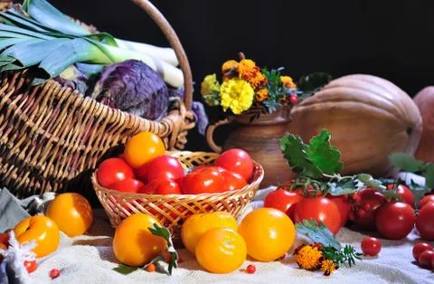 Tomatoes Stock Photos