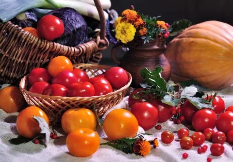 Tomatoes Stock Photos