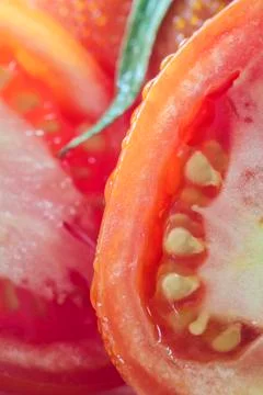 Tomatoes Stock Photos