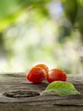 Tomatoes Stock Photos