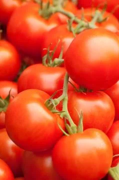 Tomatoes Stock Photos