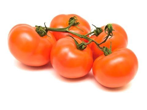 Tomatoes Stock Photos