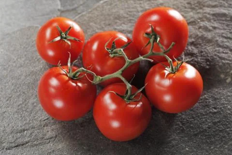 Tomatoes Stock Photos