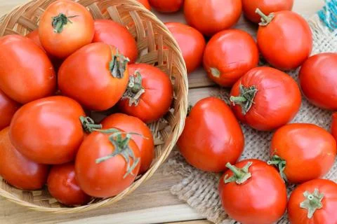 Tomatoes Stock Photos