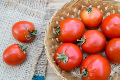Tomatoes Stock Photos