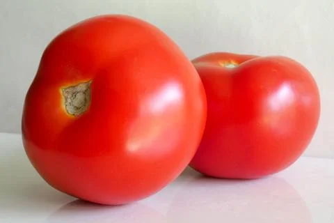 Tomatoes Stock Photos