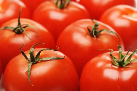 Tomatoes Stock Photos