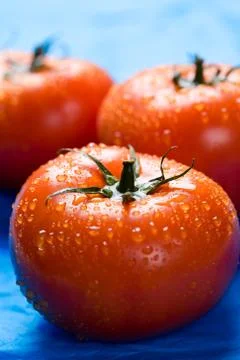 Tomatoes Stock Photos