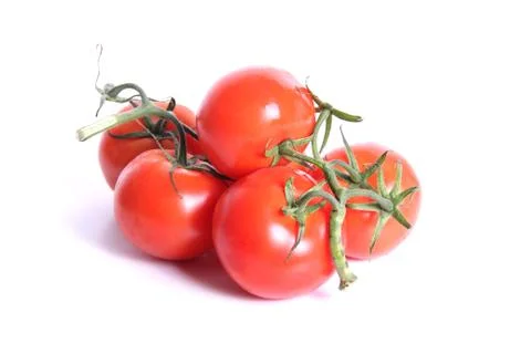 Tomatoes 스톡 사진
