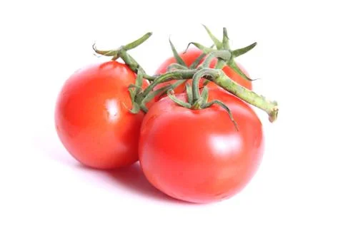 Tomatoes Stock Photos