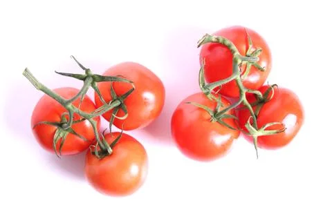 Tomatoes Stock Photos