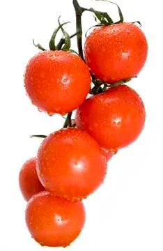 Tomatoes Stock Photos