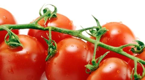 Tomatoes  Stock Photos