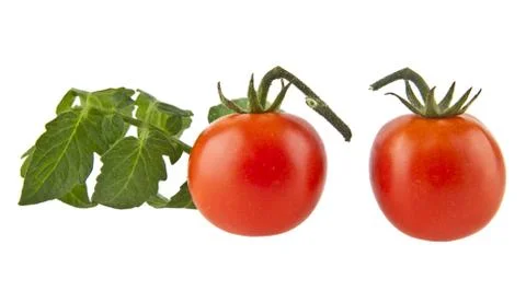 Tomatoes Stock Photos