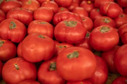 Tomatoes Foto stock