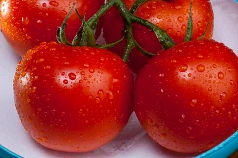 Tomatoes Stock Photos