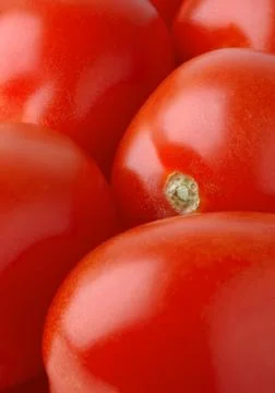 Tomatoes Stock Photos