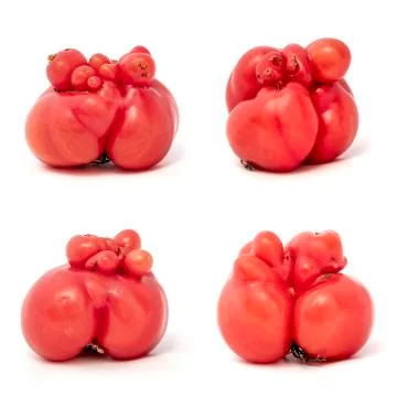 Tomatoes Stock Photos