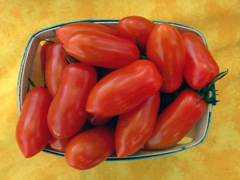 Tomatoes Stock Photos