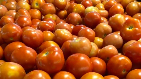 Tomatoes Stock Photos