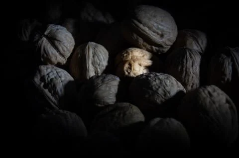Tomatoes Stock Photos