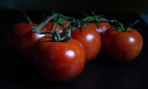 Tomatoes Stock Photos