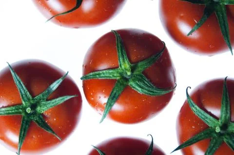 Tomatoes Fotos de archivo