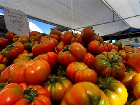 Tomatoes Stock Photos