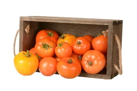 Tomatoes Stock Photos