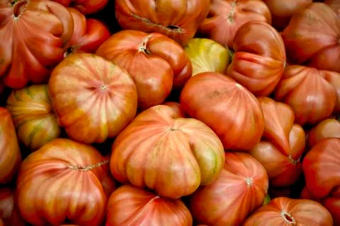 Tomatoes Stock Photos