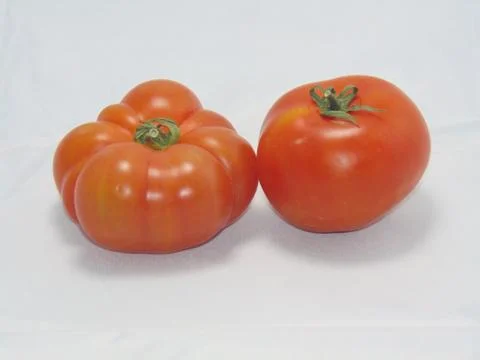 Tomatoes Foto stock