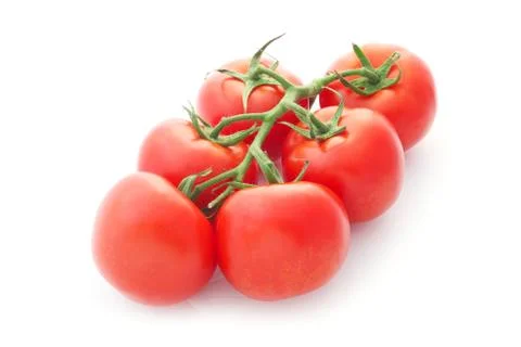 Tomatoes Stock Photos