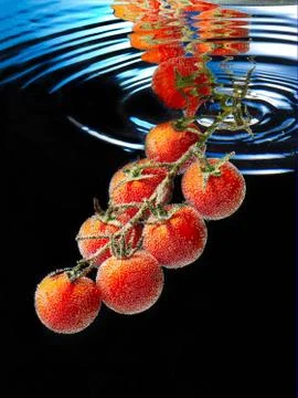 Tomatoes Stock Photos