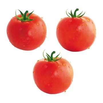 Tomatoes Stock Photos