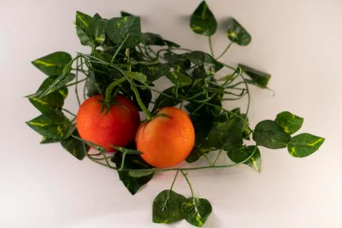 Tomatoes Foto stock
