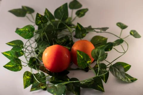 Tomatoes Stock Photos