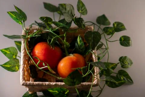 Tomatoes Stock Photos
