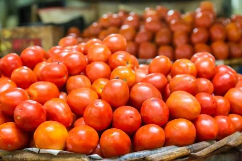 Tomatoes Stock Photos