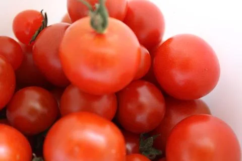 Tomatoes Stock Photos