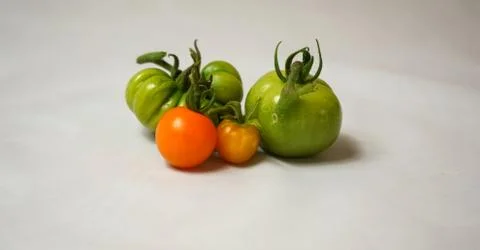 Tomatoes Stock Photos