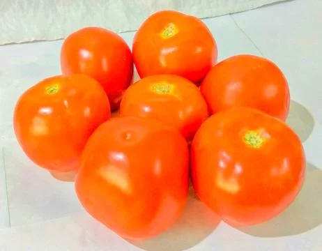 Tomatoes Stock Photos