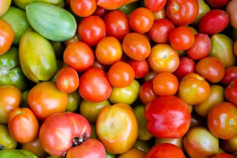 Tomatoes Stock Photos