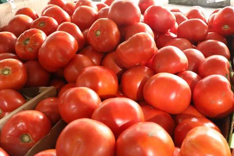 Tomatoes Stock Photos